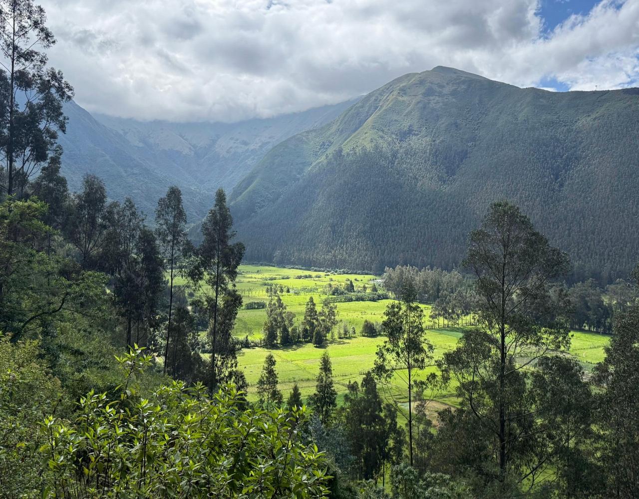 Birding Ecuador, Bird watching Ecuador, Ecuador, South American Birds, Naturalist Journeys, Wildlife Tour, Wildlife Photography, Ecotourism, Specialty Birds, Endemic Birds, Birding Hotspot