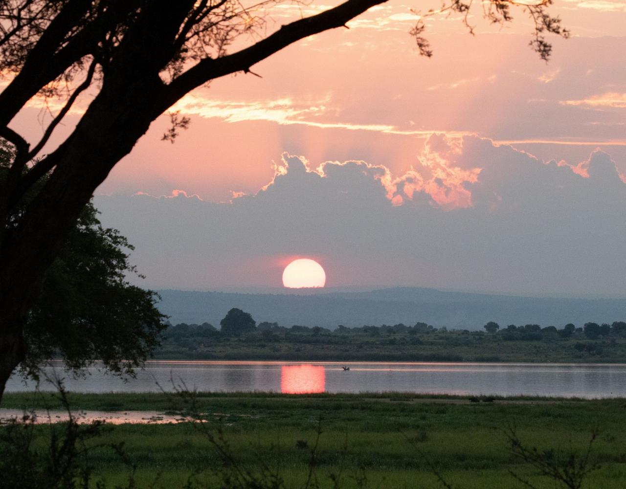 Birding Uganda, Bird Watching Uganda, Uganda, African Birds, Naturalist Journeys, Wildlife Tour, Wildlife Photography, Ecotourism, Specialty Birds, Endemic Birds, Birding Hotspot, Gorilla Trek, Queen Elizabeth National Park