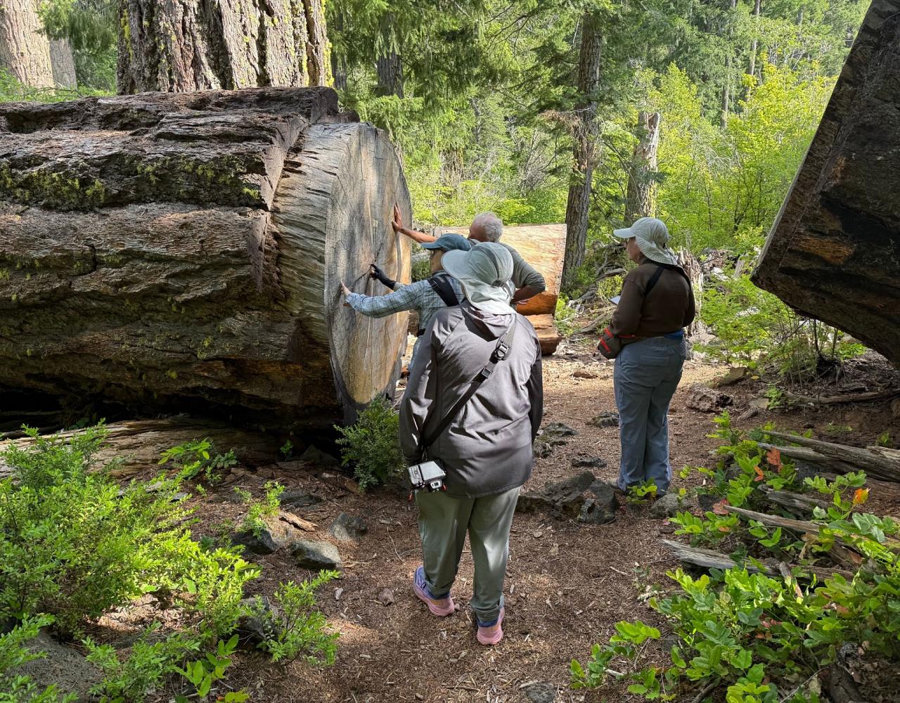 Birding Oregon, Bird Watching the Oregon,  Naturalist Journeys, Wildlife Tour, Wildlife Photography, Ecotourism, Specialty Birds, Mt. Hood
