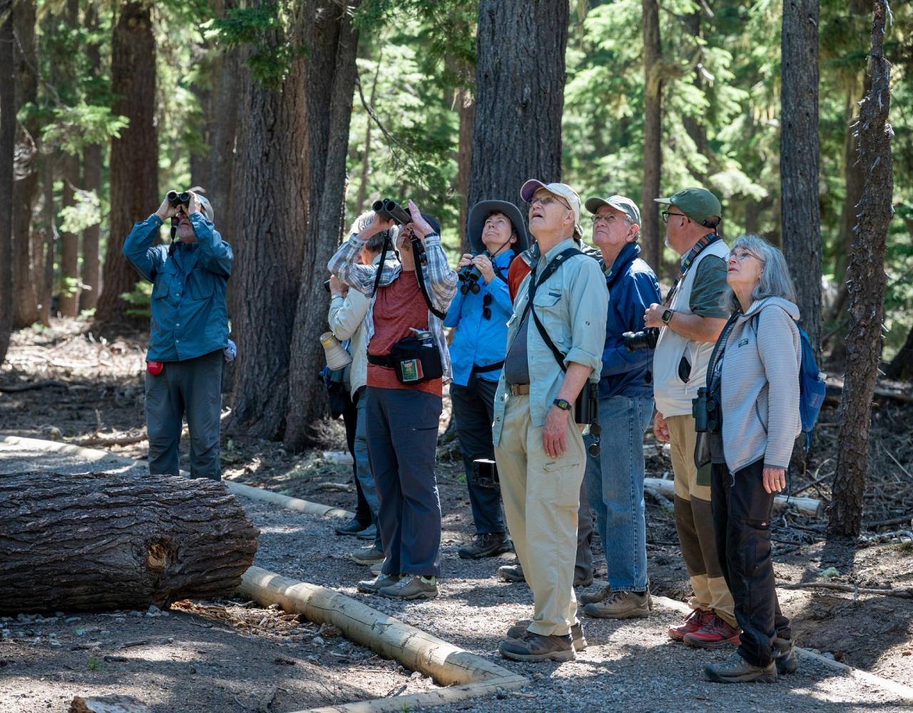 Birding Oregon, Bird Watching the Oregon,  Naturalist Journeys, Wildlife Tour, Wildlife Photography, Ecotourism, Specialty Birds, Mt. Hood
