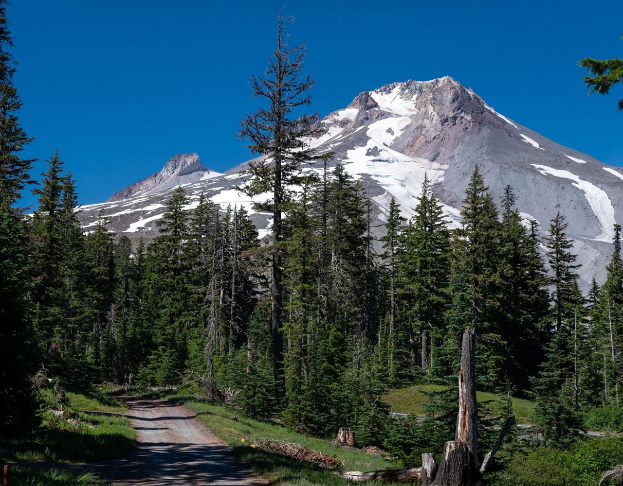 Birding Oregon, Bird Watching the Oregon,  Naturalist Journeys, Wildlife Tour, Wildlife Photography, Ecotourism, Specialty Birds, Mt. Hood