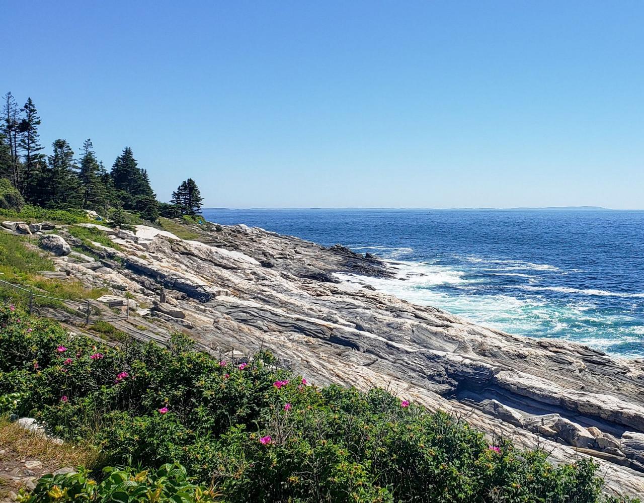Birding Maine, Maine Nature, Acadia National Park, Bird watching Maine, Fall Migration, Naturalist Journeys, Wildlife Tour, Wildlife Photography, Ecotourism, Specialty Birds, Birding Hotspot, Bar Harbor