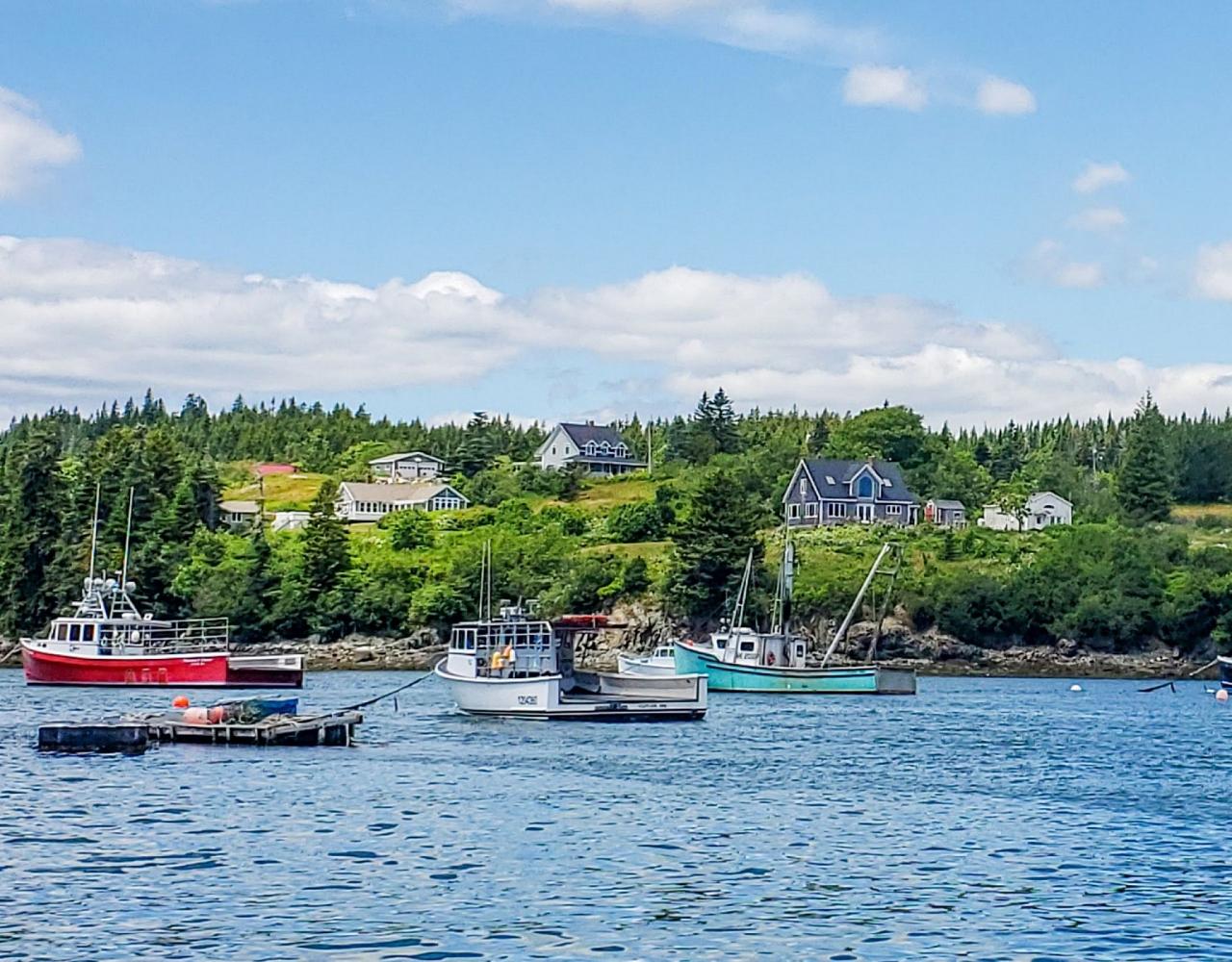 Birding Maine, Maine Nature, Acadia National Park, Bird watching Maine, Fall Migration, Naturalist Journeys, Wildlife Tour, Wildlife Photography, Ecotourism, Specialty Birds, Birding Hotspot, Bar Harbor