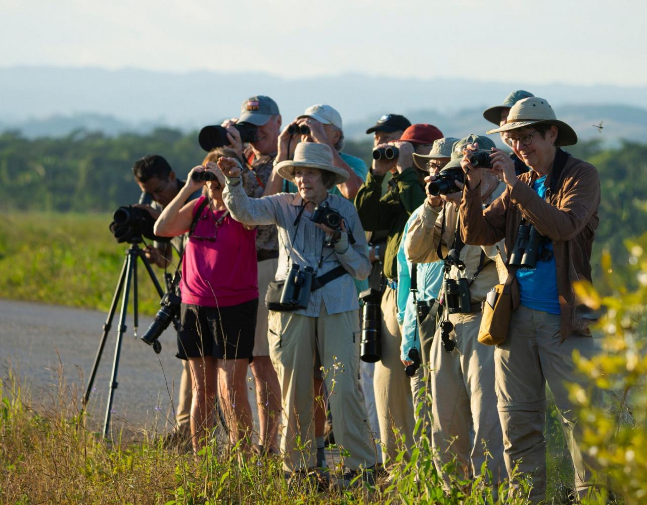 Birding Belize, Bird watching, Central America, Neotropics, Naturalist Journeys, Wildlife Tour, Wildlife Photography, Ecotourism, Specialty Birds, Birding Hotspot