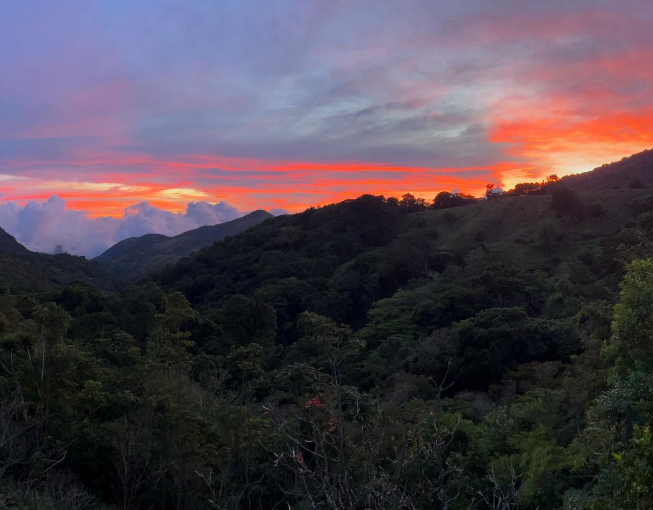 Birding Panama, Bird watching Panama, Panama Nature Tour, Naturalist Journeys, Wildlife Tour, Wildlife Photography, Ecotourism, Specialty Birds, Birding Hotspot