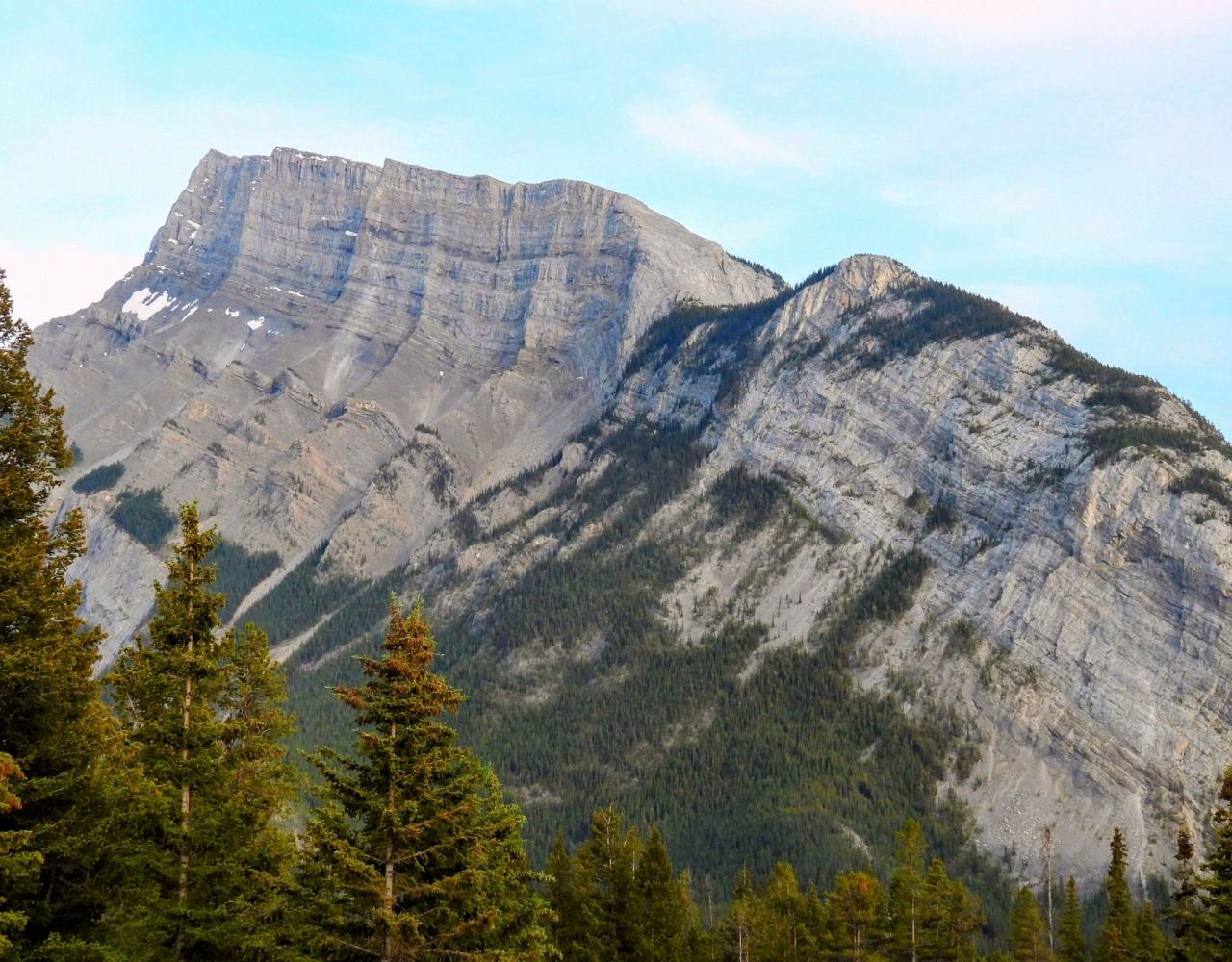Birding Canada, Bird Watching Canada, Birding North America, Naturalist Journeys, Wildlife Tour, Wildlife Photography, Ecotourism, Specialty Birds, Endemic Birds, Birding Hotspot, Banff National Park