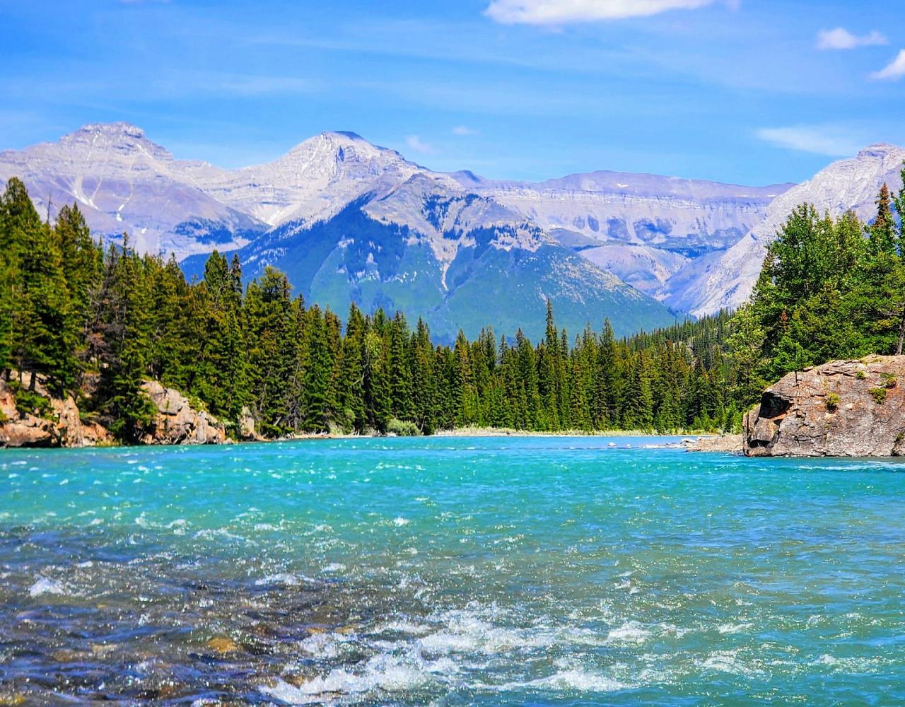 Birding Canada, Bird Watching Canada, Birding North America, Naturalist Journeys, Wildlife Tour, Wildlife Photography, Ecotourism, Specialty Birds, Endemic Birds, Birding Hotspot, Banff National Park