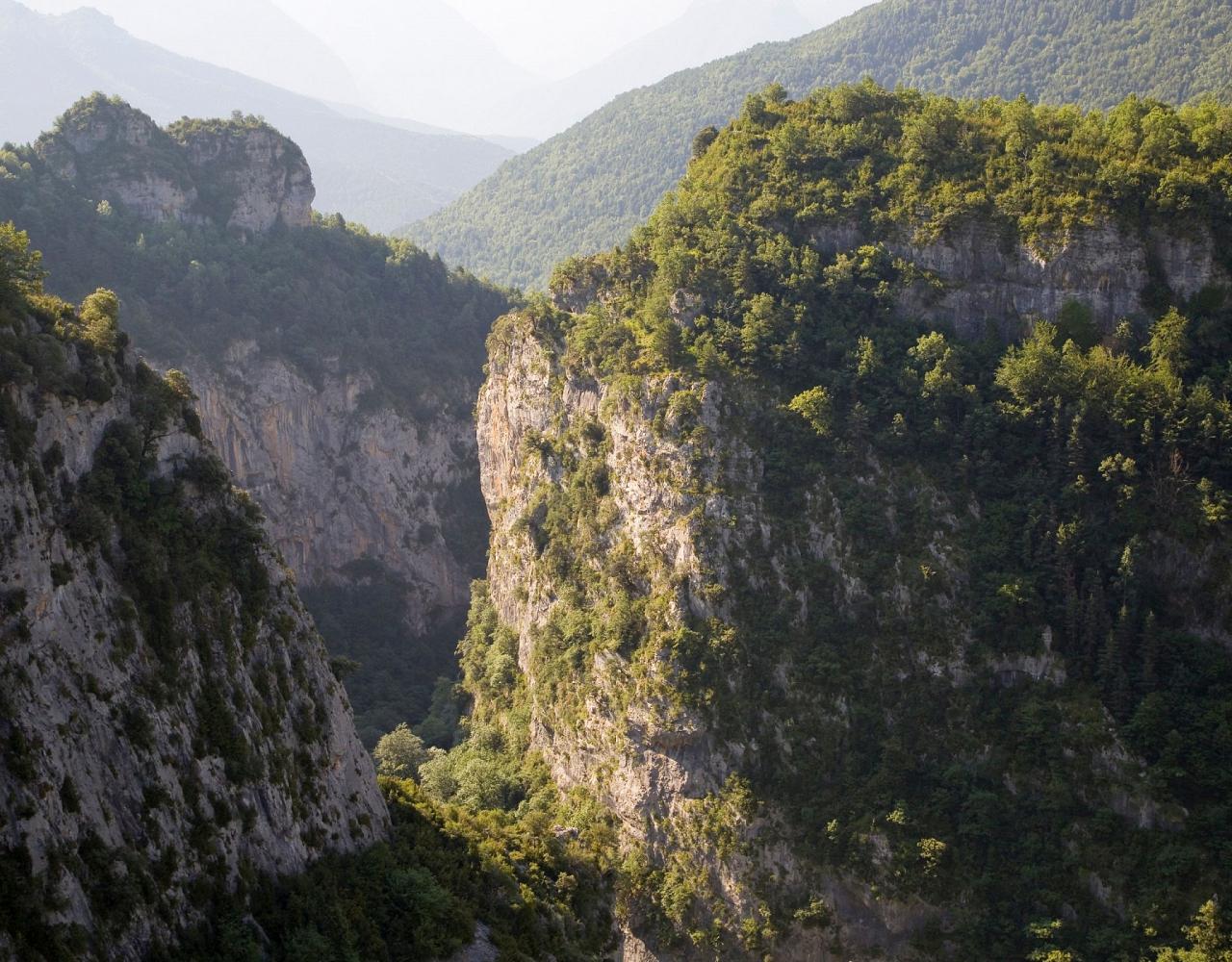 Birding Spain, Bird Watching Spain, European Birds, Naturalist Journeys, Wildlife Tour, Wildlife Photography, Ecotourism, Specialty Birds, Endemic Birds, Birding Hotspot