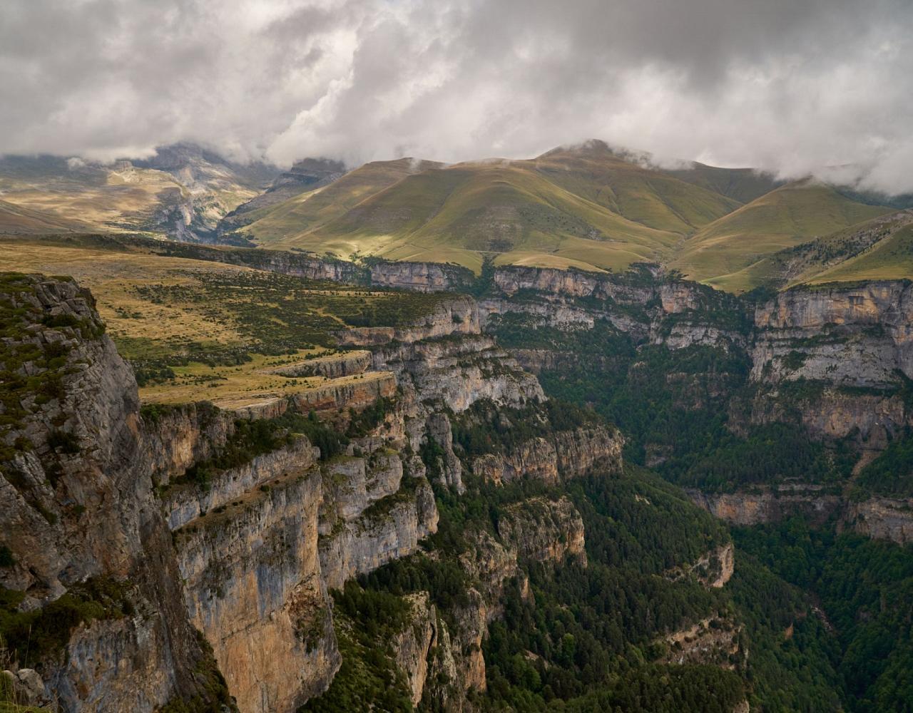 Birding Spain, Bird Watching Spain, European Birds, Naturalist Journeys, Wildlife Tour, Wildlife Photography, Ecotourism, Specialty Birds, Endemic Birds, Birding Hotspot