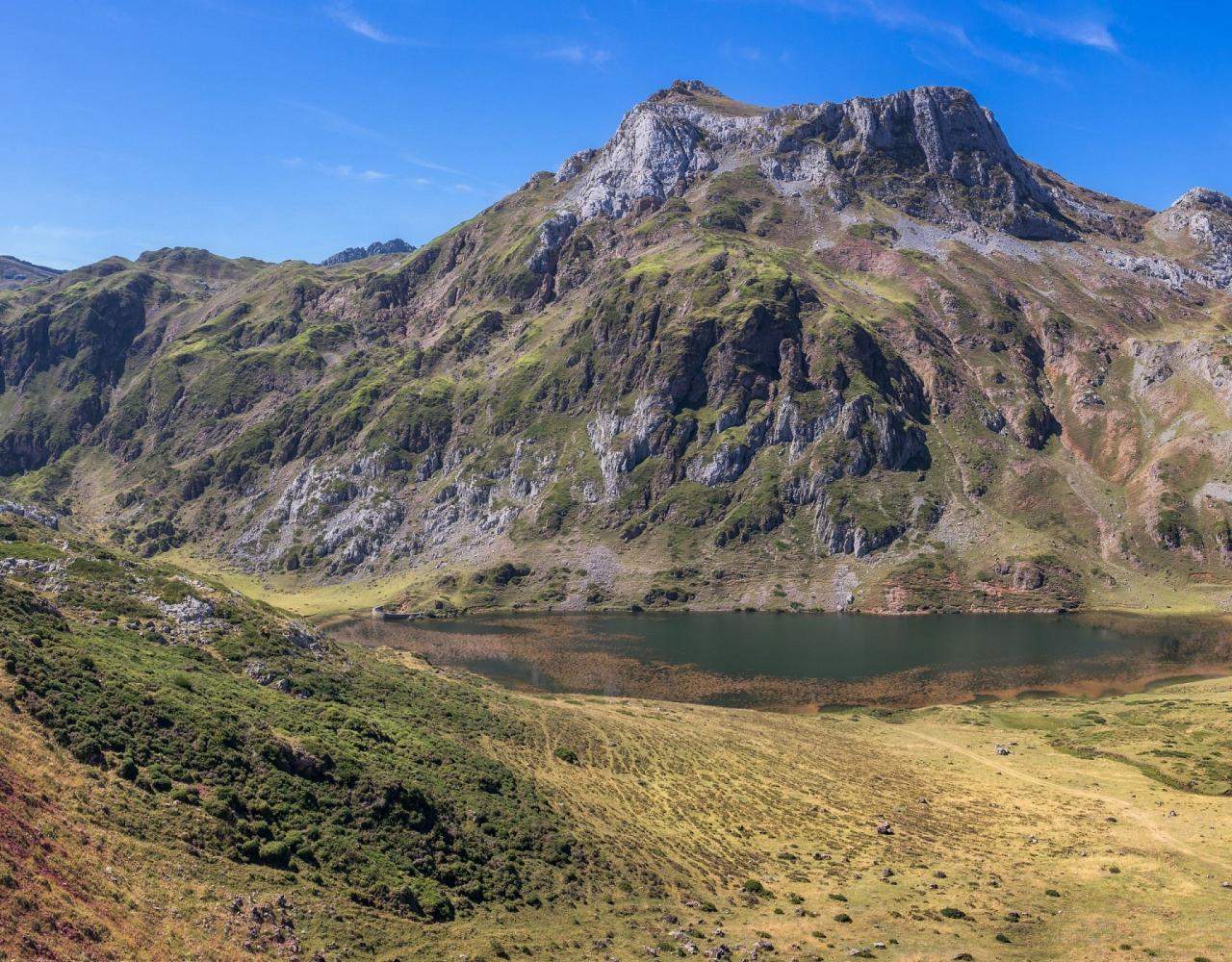 Birding Spain, Bird Watching Spain, European Birds, Naturalist Journeys, Wildlife Tour, Wildlife Photography, Ecotourism, Specialty Birds, Endemic Birds, Birding Hotspot