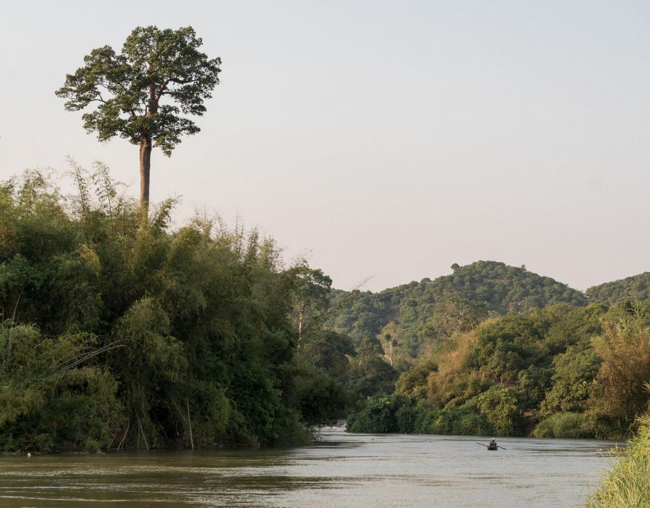 Birding Vietnam, Bird Watching Vietnam, Birding Asia, Naturalist Journeys, Wildlife Tour, Wildlife Photography, Ecotourism, Specialty Birds, Endemic Birds, Birding Hotspot, Cuc Phuong