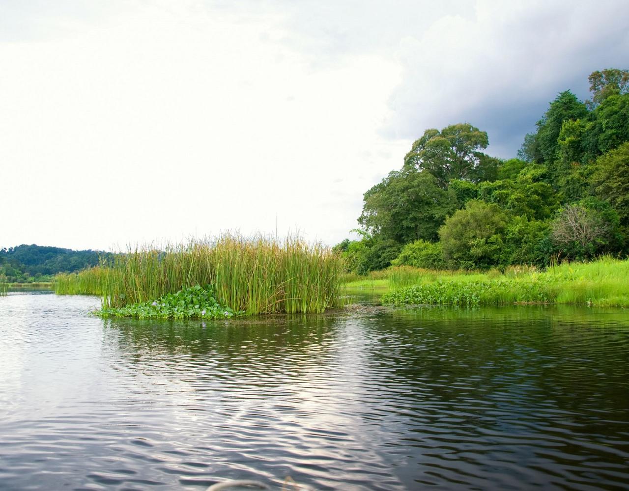 Birding Vietnam, Bird Watching Vietnam, Birding Asia, Naturalist Journeys, Wildlife Tour, Wildlife Photography, Ecotourism, Specialty Birds, Endemic Birds, Birding Hotspot, Cuc Phuong