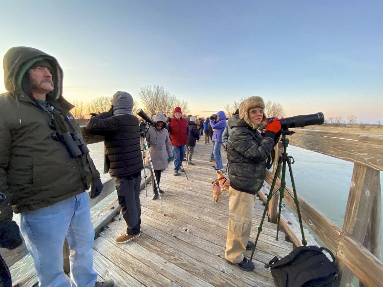 Birding Nebraska, Platte River, Bird watching Nebraska, Audubon Rowe Sanctuary, Naturalist Journeys, Wildlife Tour, Wildlife Photography, Ecotourism, Specialty Birds, Birding Hotspot, Sandhill Cranes
