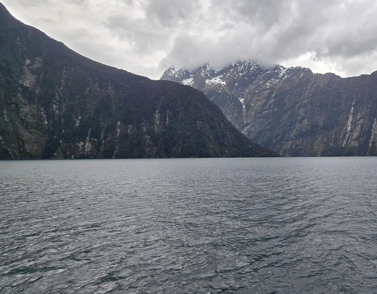 New Zealand, New Zealand Nature Tour, New Zealand Birding Tour, New Zealand Wildlife Tour, Naturalist Journeys, Birdwatching, Wildlife Tour, Travel