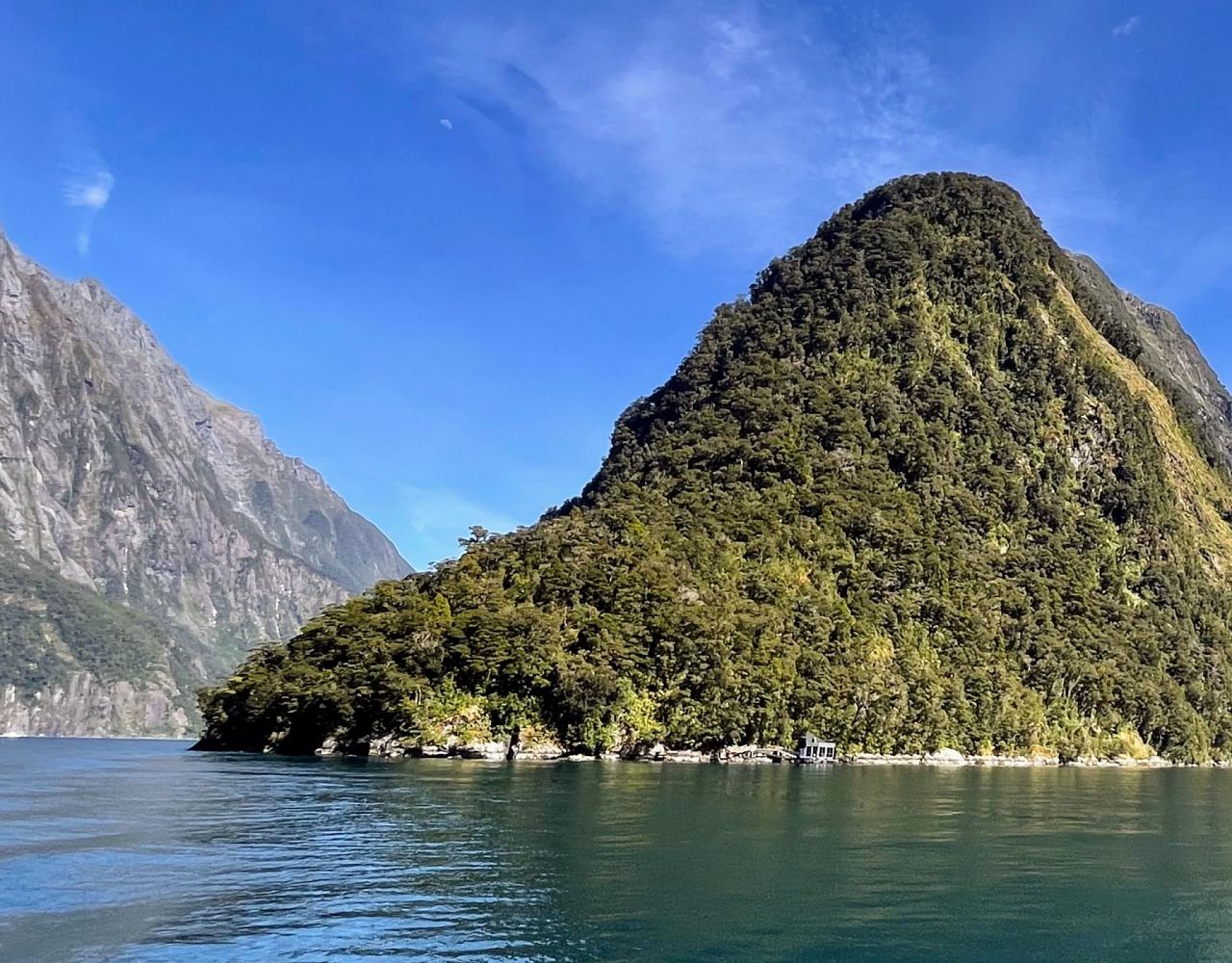 New Zealand, New Zealand Nature Tour, New Zealand Birding Tour, New Zealand Wildlife Tour, Naturalist Journeys, Birdwatching, Wildlife Tour, Travel