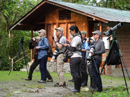 Ecuador, Ecuador Birding Tour, Ecuador Nature Tour, Ecuador Hummingbird Tour, Quito, Naturalist Journeys