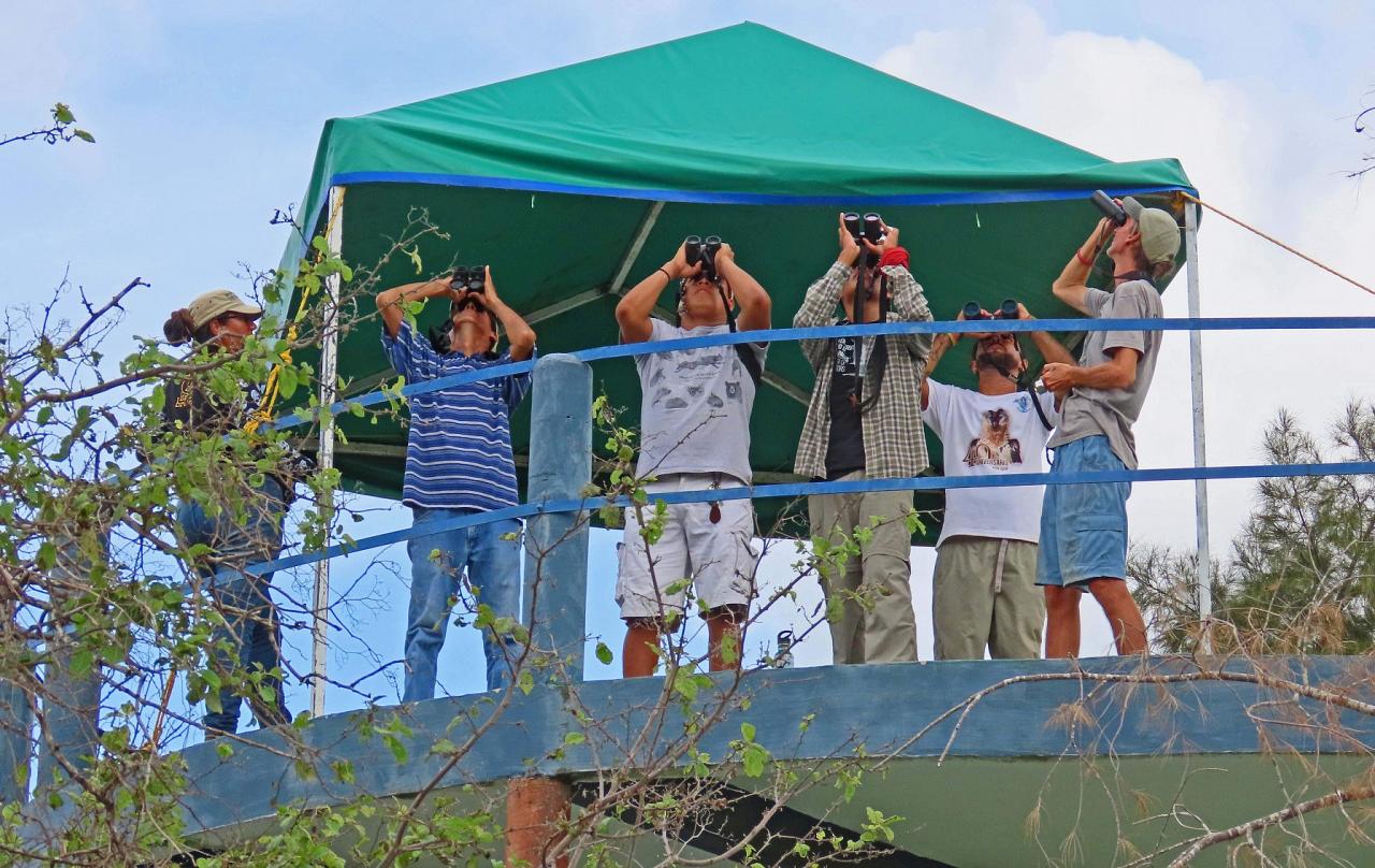 Mexico, Veracruz, River of Raptors, Raptor Migration, Migration Tour, Mexico Birding Tour, Veracruz Birding Tour, Naturalist Journeys