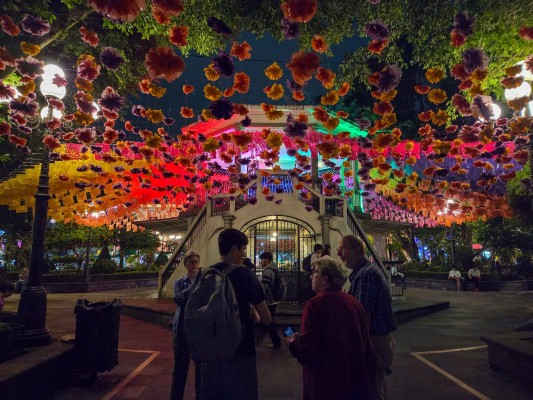 Veracruz, River of Raptors, Veracruz Raptor Migration, Veracruz Mexico Birding Tour, Naturalist Journeys, Dia de los Muertos