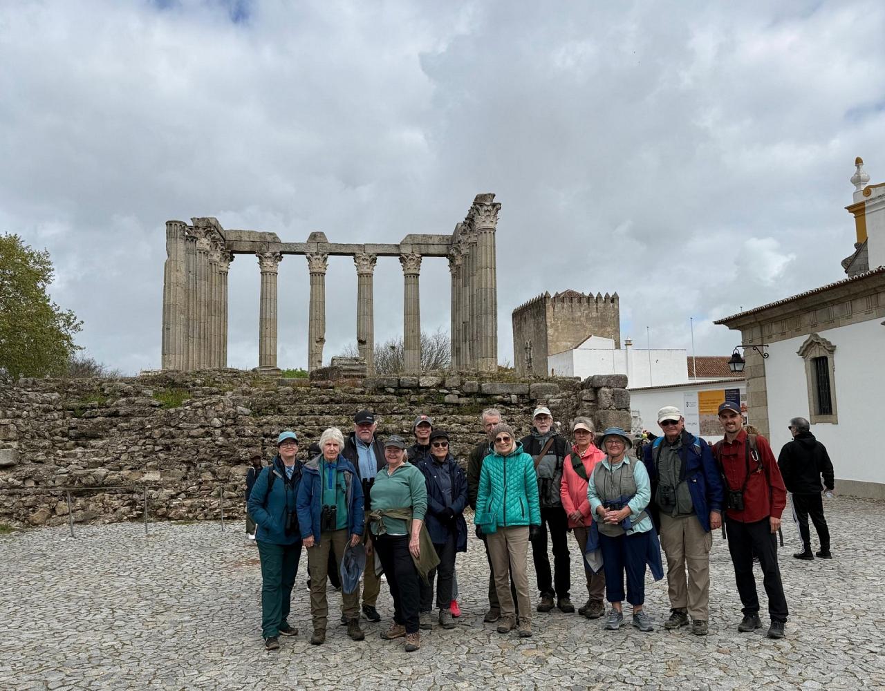 Birding Portugal, Portugal Nature, Bird watching Europe, Fall Migration, Naturalist Journeys, Wildlife Tour, Wildlife Photography, Ecotourism, Specialty Birds, Birding Hotspot, Lisbon, Alentejo
