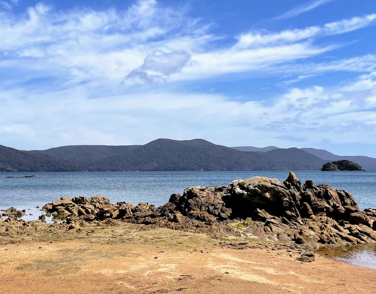 New Zealand, New Zealand Nature Tour, New Zealand Birding Tour, New Zealand Wildlife Tour, Naturalist Journeys, Birdwatching, Wildlife Tour, Travel