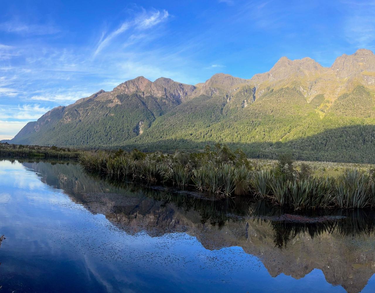 New Zealand, New Zealand Nature Tour, New Zealand Birding Tour, New Zealand Wildlife Tour, Naturalist Journeys, Birdwatching, Wildlife Tour, Travel