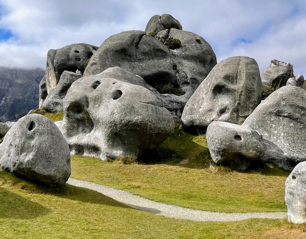 New Zealand, New Zealand Nature Tour, New Zealand Birding Tour, New Zealand Wildlife Tour, Naturalist Journeys, Birdwatching, Wildlife Tour, Travel