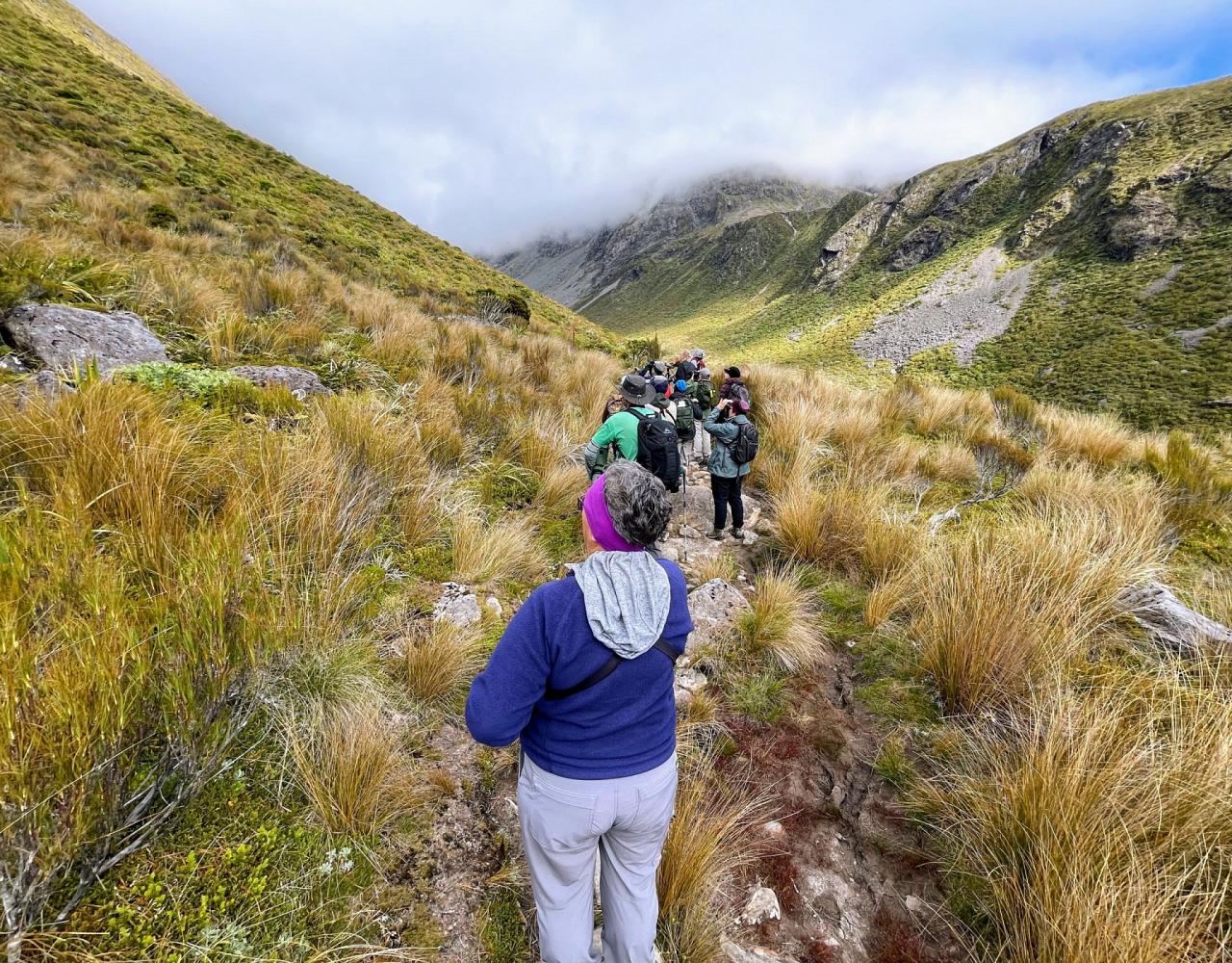 New Zealand, New Zealand Nature Tour, New Zealand Birding Tour, New Zealand Wildlife Tour, Naturalist Journeys, Birdwatching, Wildlife Tour, Travel