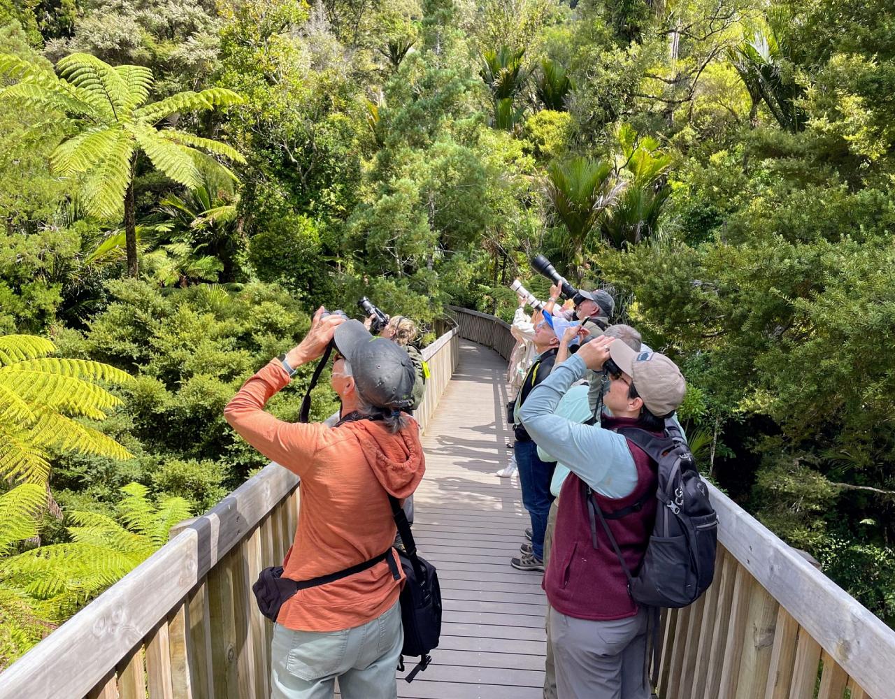 New Zealand, New Zealand Nature Tour, New Zealand Birding Tour, New Zealand Wildlife Tour, Naturalist Journeys, Birdwatching, Wildlife Tour, Travel