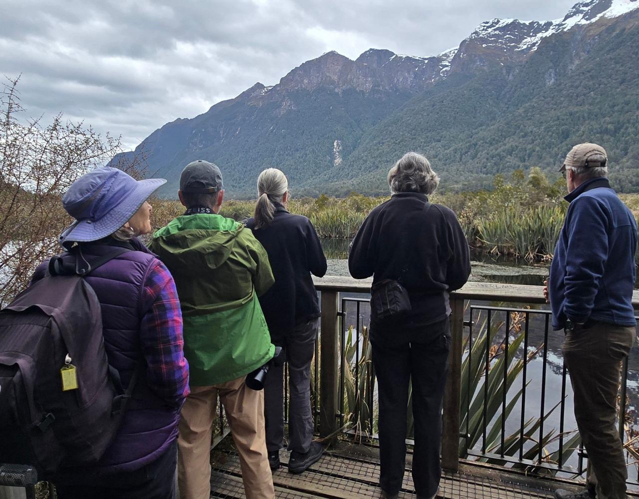 New Zealand, New Zealand Nature Tour, New Zealand Birding Tour, New Zealand Wildlife Tour, Naturalist Journeys, Birdwatching, Wildlife Tour, Travel