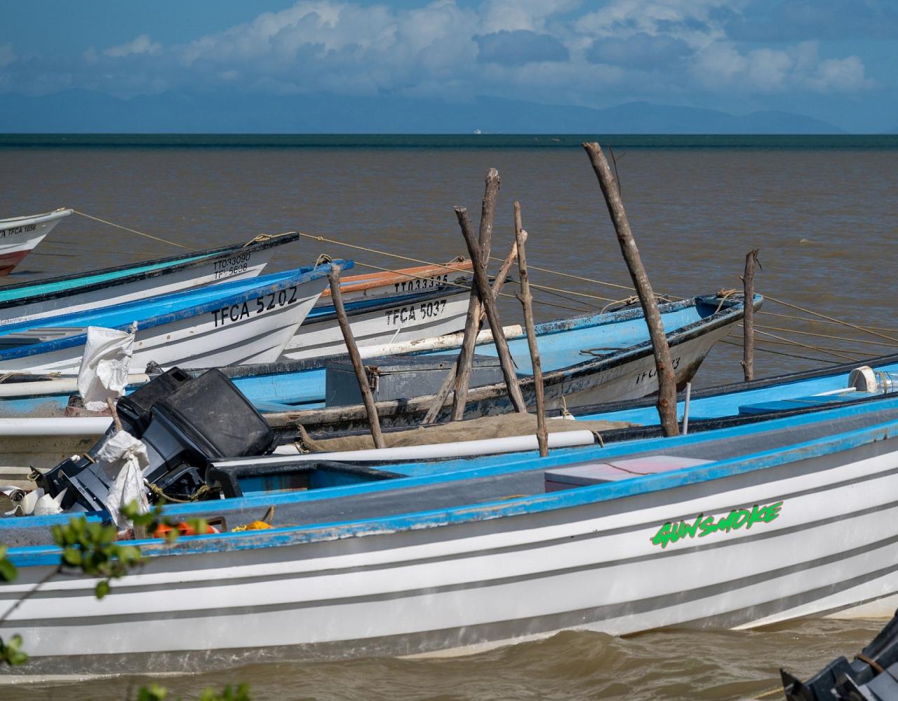 Birding Trinidad & Tobago, Bird watching Trinidad & Tobago, Naturalist Journeys, Wildlife Tour, Wildlife Photography, Ecotourism, Specialty Birds, Birding Hotspot, Asa Wright Nature Center