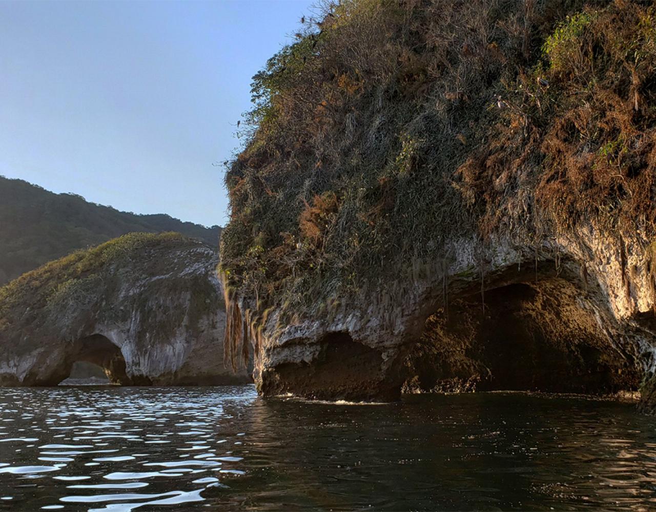 Birding Mexico, Bird watching Mexico, Pacific Ocean, North American birds, Naturalist Journeys, Wildlife Tour, Wildlife Photography, Ecotourism, Specialty Birds, Endemic Birds, Birding Hotspot 