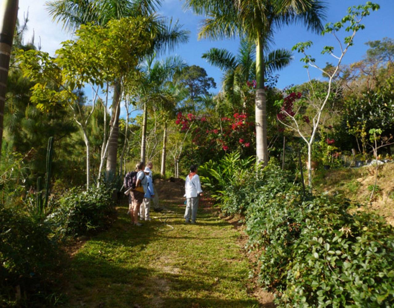 Birding Mexico, Bird watching Mexico, Pacific Ocean, North American birds, Naturalist Journeys, Wildlife Tour, Wildlife Photography, Ecotourism, Specialty Birds, Endemic Birds, Birding Hotspot 