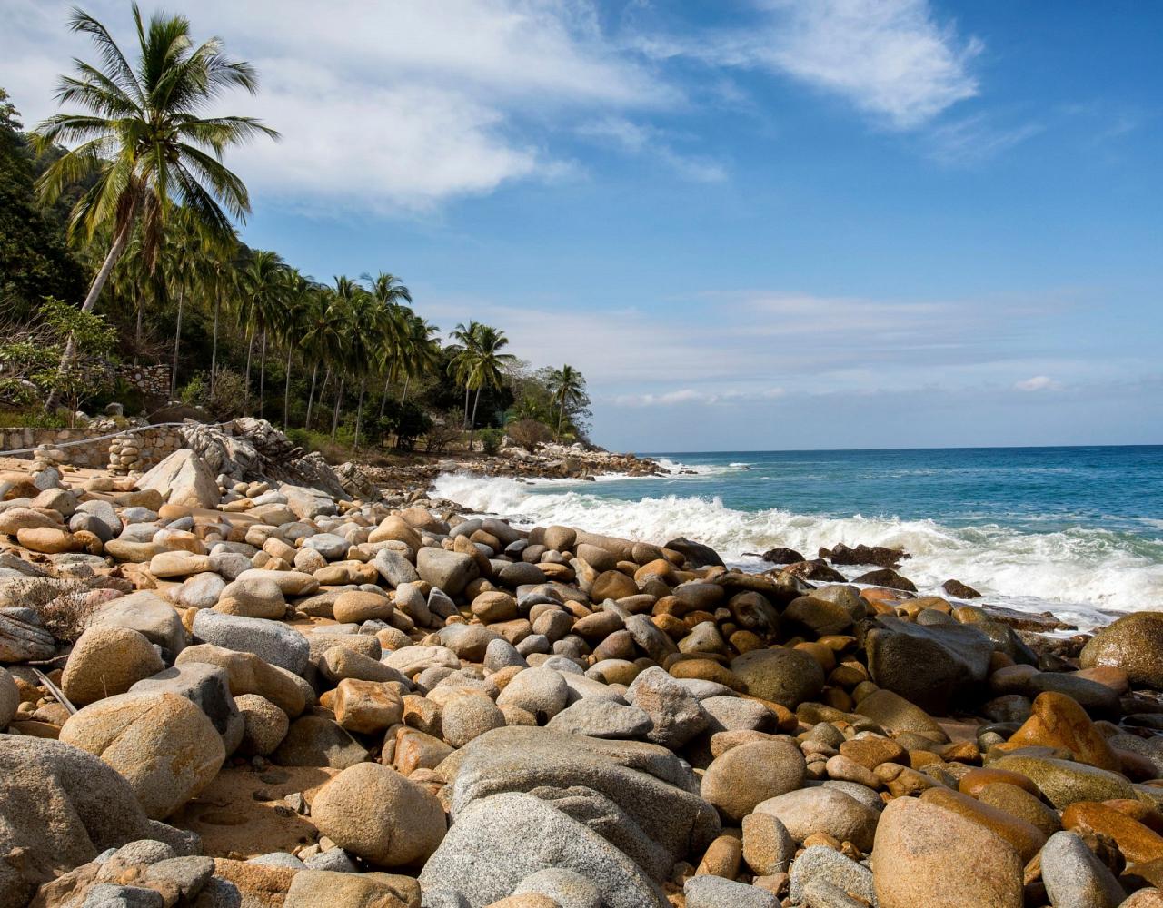 Birding Mexico, Bird watching Mexico, Pacific Ocean, North American birds, Naturalist Journeys, Wildlife Tour, Wildlife Photography, Ecotourism, Specialty Birds, Endemic Birds, Birding Hotspot 