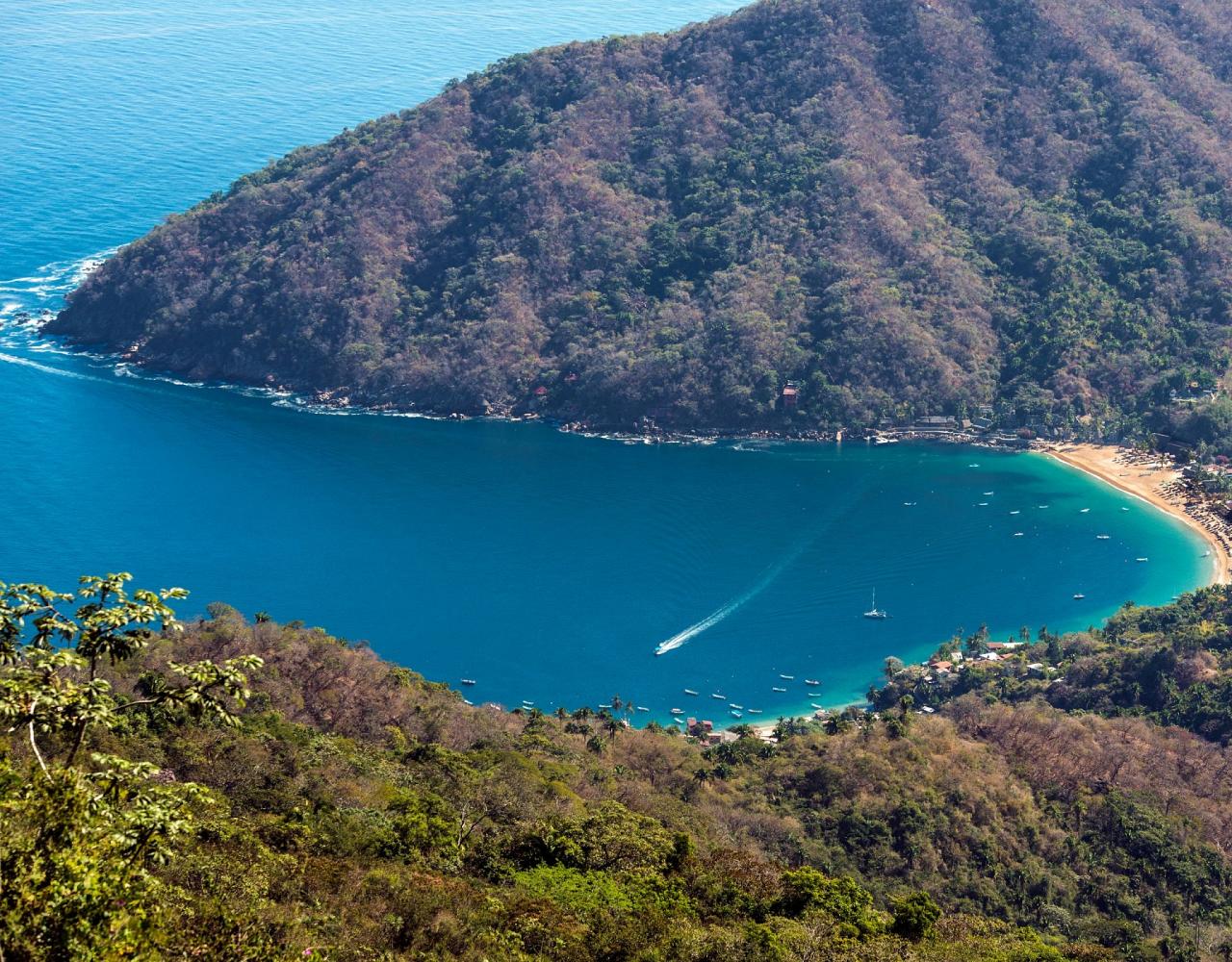 Birding Mexico, Bird watching Mexico, Pacific Ocean, North American birds, Naturalist Journeys, Wildlife Tour, Wildlife Photography, Ecotourism, Specialty Birds, Endemic Birds, Birding Hotspot 