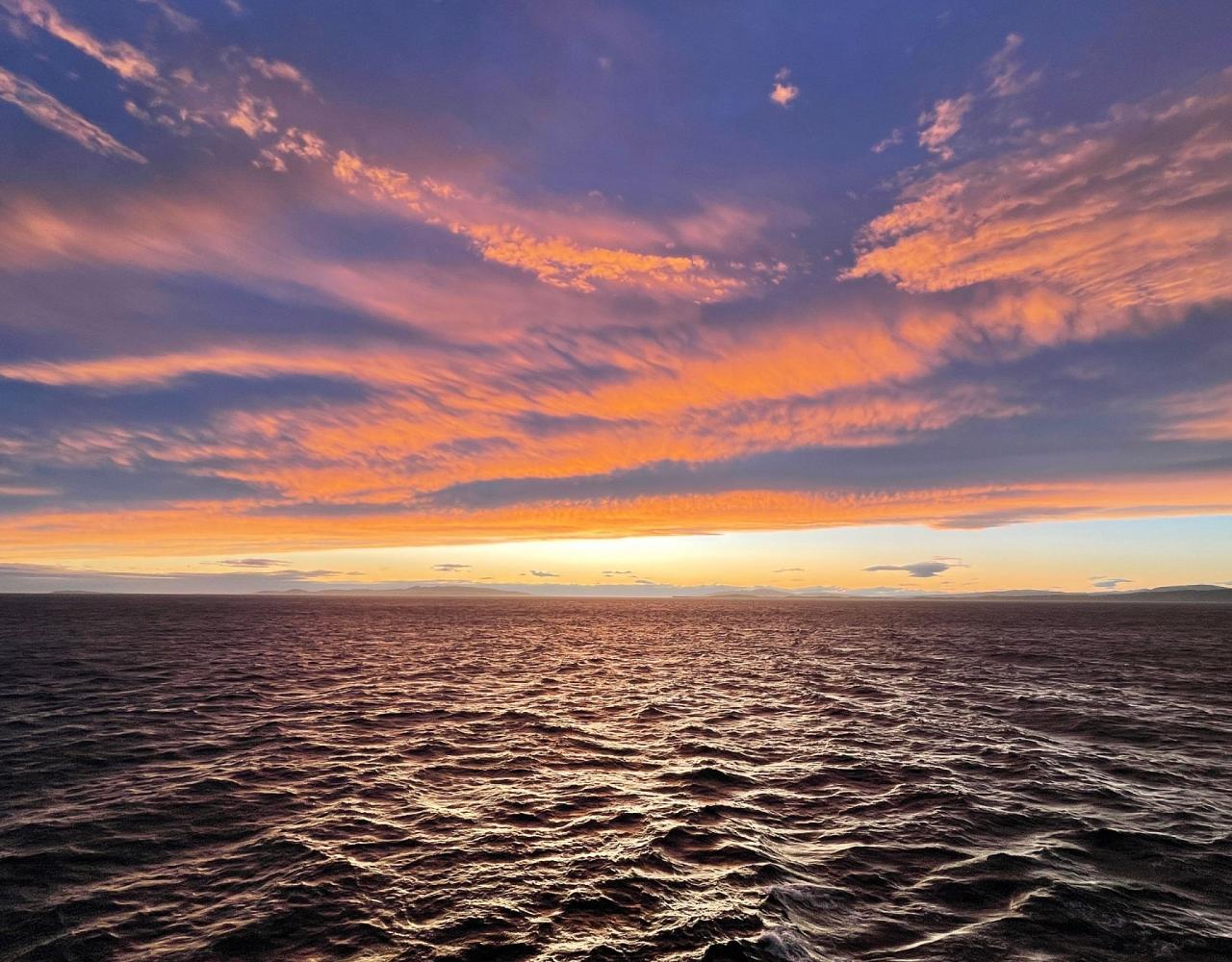 Birding Antarctica, Bird watching Antarctica, Falkland Islands, South Georgia, Naturalist Journeys, Wildlife Tour, Wildlife Photography, Ecotourism, Specialty Birds, Endemic Birds, Birding Hotspot 