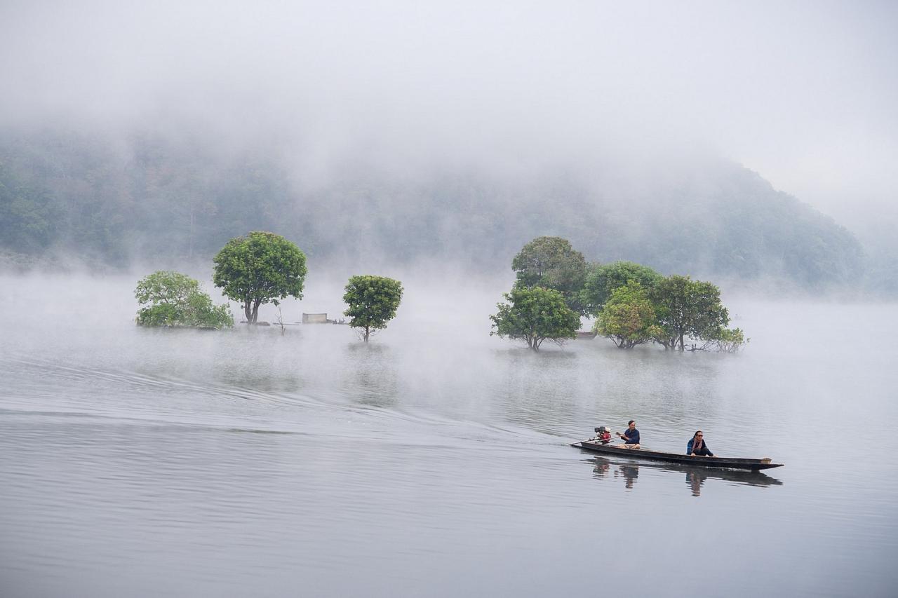 	Thailand Birding and Nature tour Naturalist Journeys, Doi Inthanon National Park, Mae Ping National Park (extension only) Beeohwhy