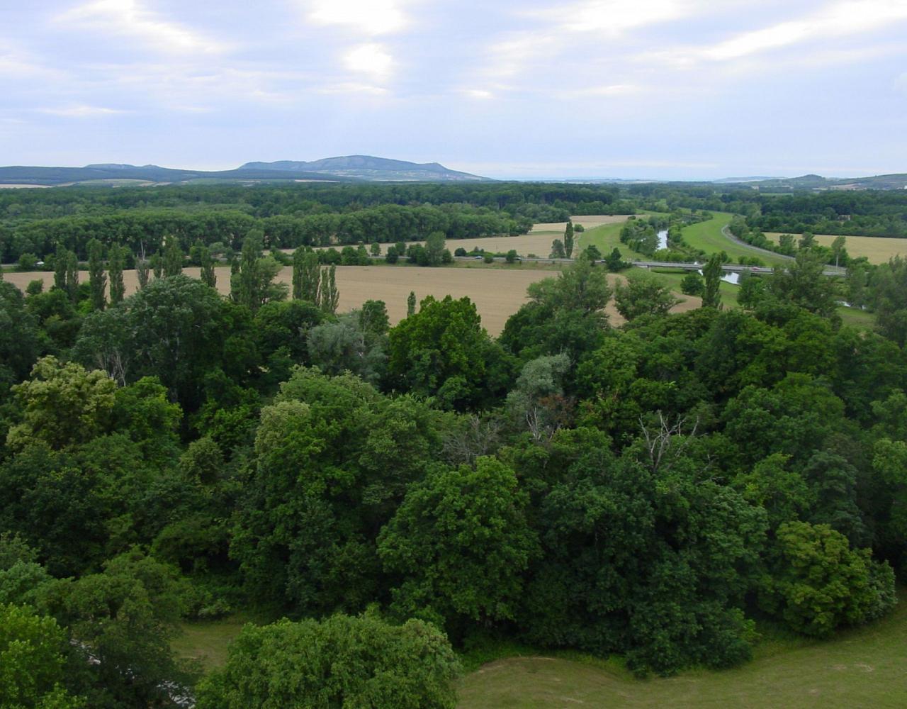Birding the Czech Republic, Bird watching the Czech Republic, Czech Republic, European birds, Naturalist Journeys, Wildlife Tour, Wildlife Photography, Ecotourism, Specialty Birds, Endemic Birds, Birding Hotspot 