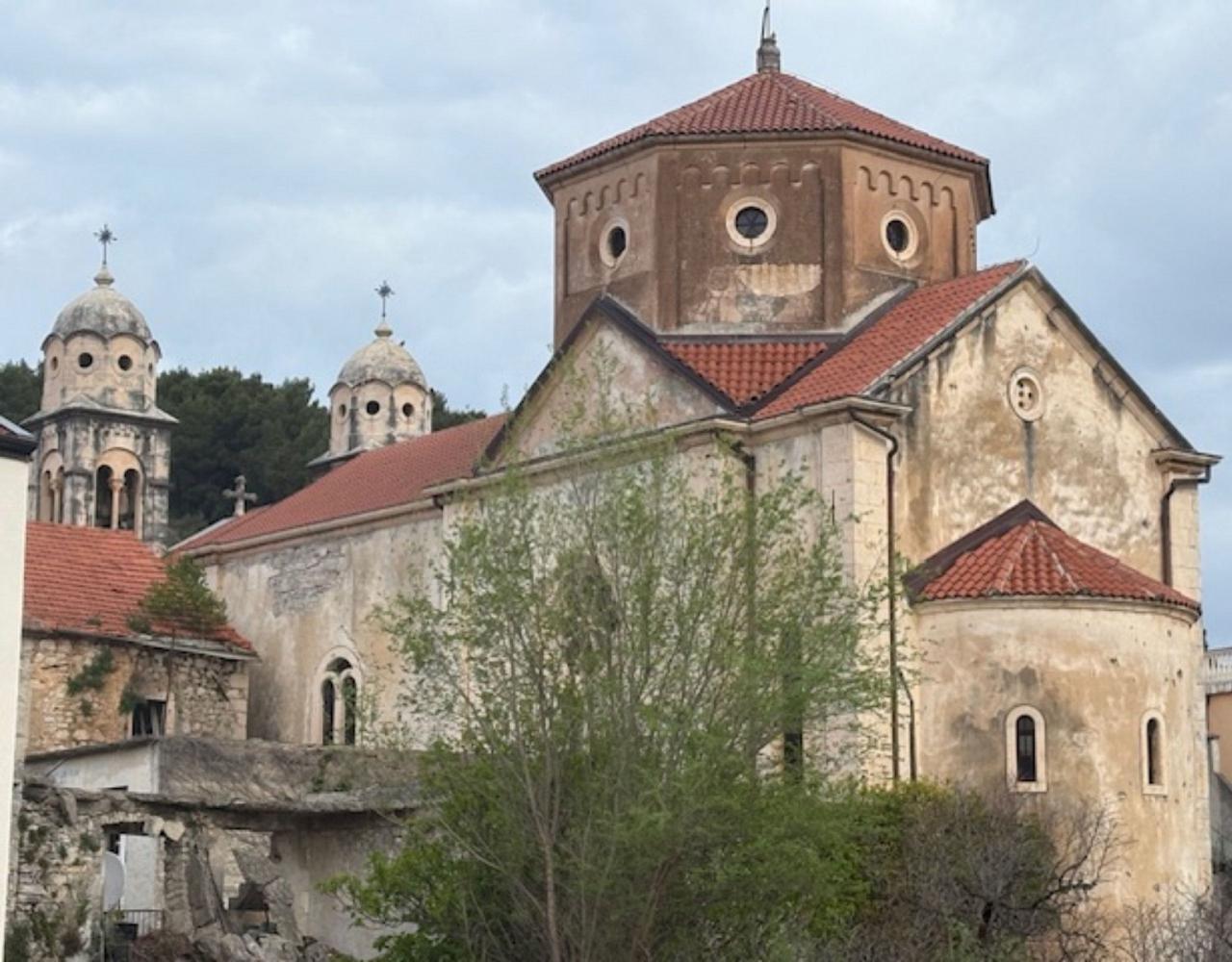 Birding Croatia, Birding Europe, Bird watching Croatia, Adriatic Sea, Balkan Peninsula, Nature Tour, Naturalist Journeys, Wildlife Tour, Wildlife Photography, Ecotourism, Specialty Birds, Birding Hotspot, Krka National Park, Pag, Spring Migration, European Wildlife Tour