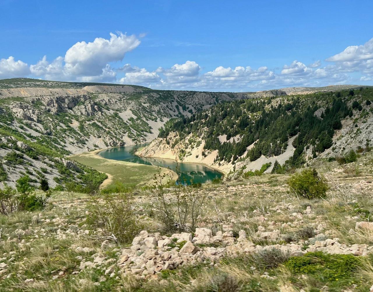 Birding Croatia, Birding Europe, Bird watching Croatia, Adriatic Sea, Balkan Peninsula, Nature Tour, Naturalist Journeys, Wildlife Tour, Wildlife Photography, Ecotourism, Specialty Birds, Birding Hotspot, Krka National Park, Pag, Spring Migration, European Wildlife Tour