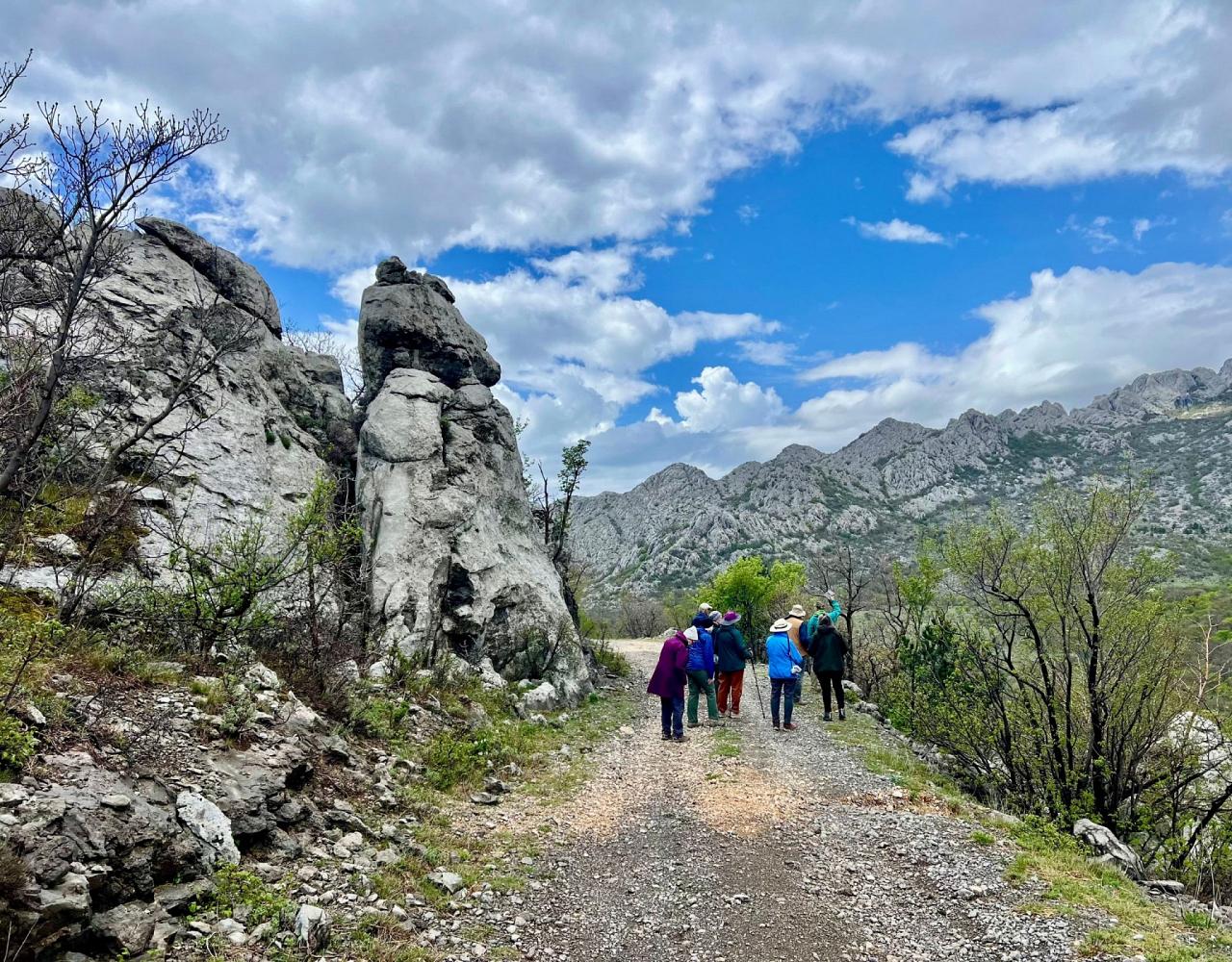 Birding Croatia, Birding Europe, Bird watching Croatia, Adriatic Sea, Balkan Peninsula, Nature Tour, Naturalist Journeys, Wildlife Tour, Wildlife Photography, Ecotourism, Specialty Birds, Birding Hotspot, Krka National Park, Pag, Spring Migration, European Wildlife Tour