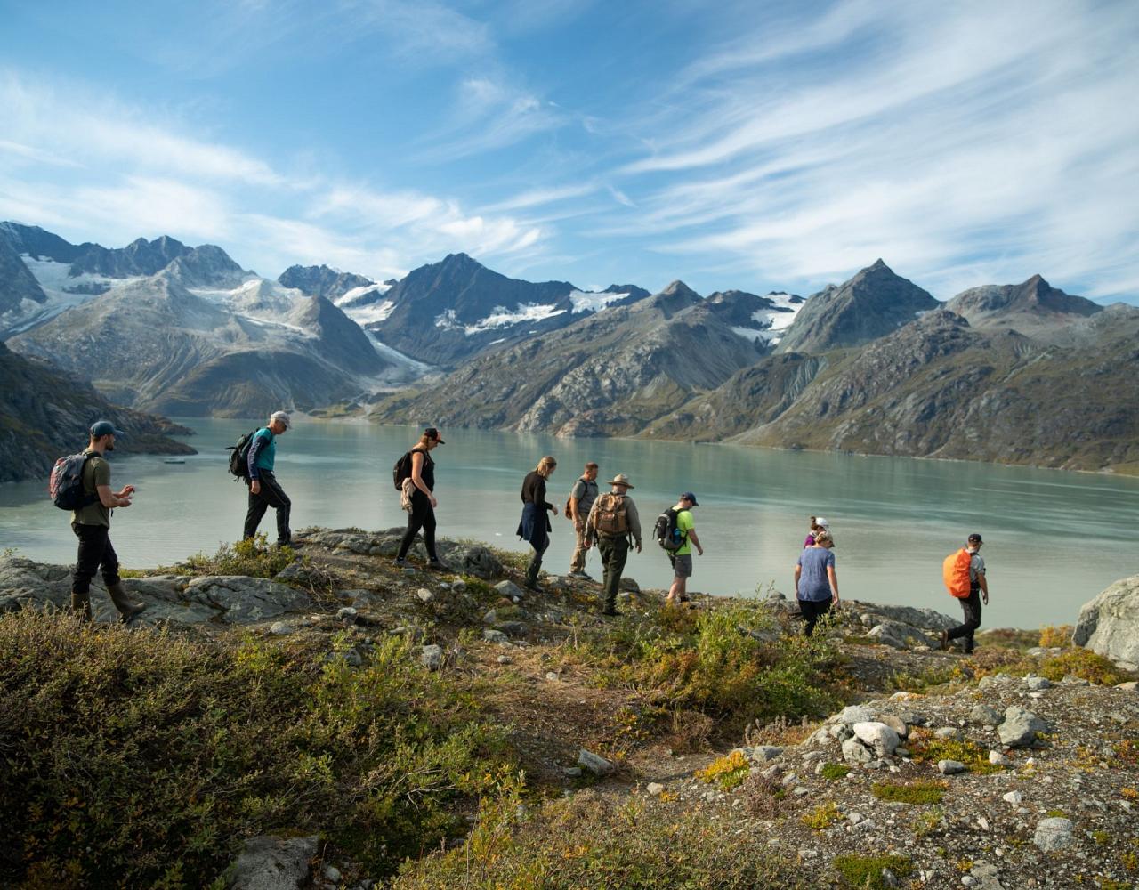 Birding Alaska, Bird Watching Alaska, Birding North America, Naturalist Journeys, Wildlife Tour, Wildlife Photography, Ecotourism, Specialty Birds, Endemic Birds, Birding Hotspot, Whale Watching
