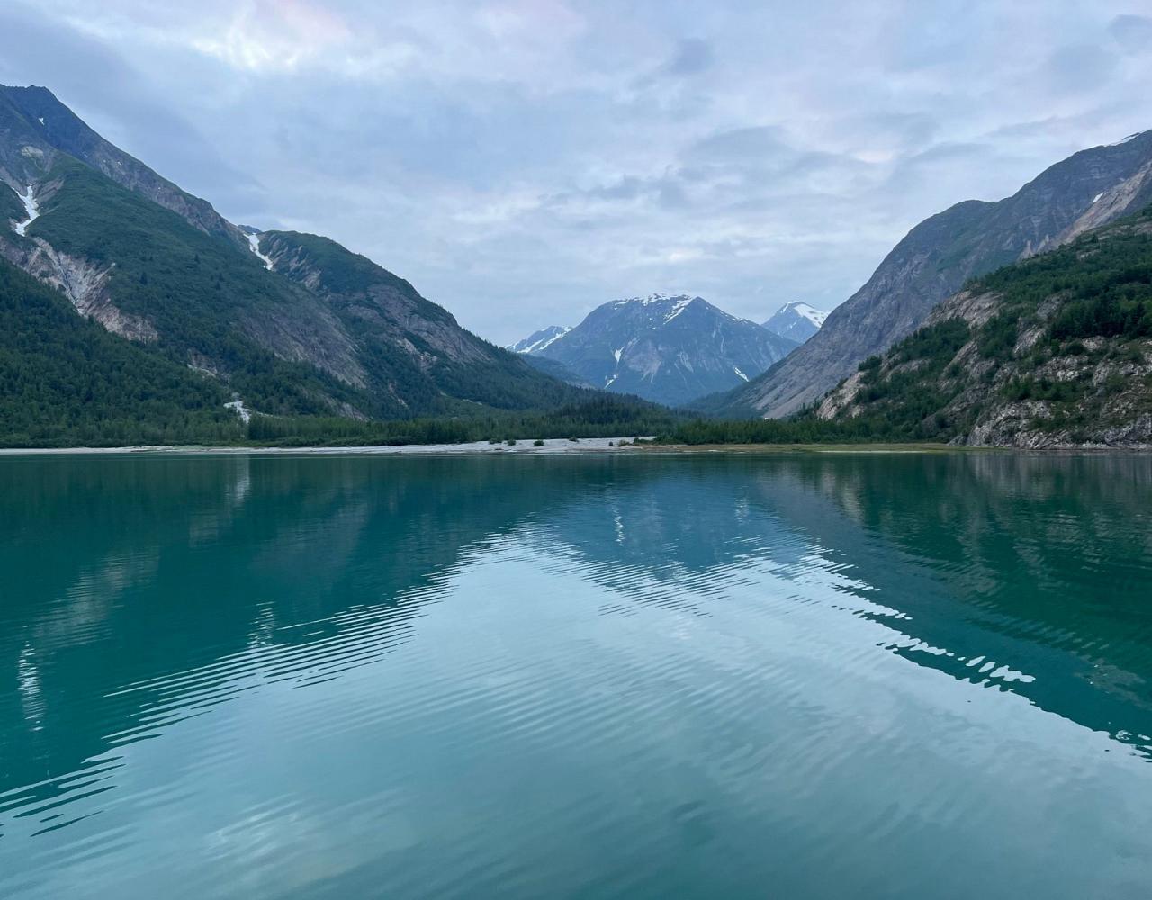 Birding Alaska, Bird Watching Alaska, Birding North America, Naturalist Journeys, Wildlife Tour, Wildlife Photography, Ecotourism, Specialty Birds, Endemic Birds, Birding Hotspot, Whale Watching