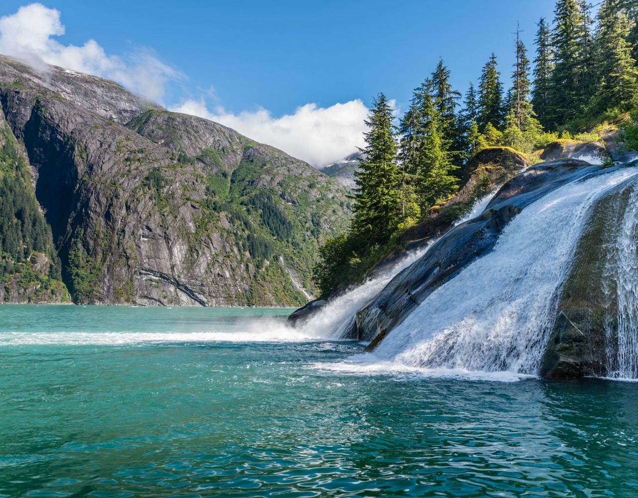 Birding Alaska, Bird Watching Alaska, Birding North America, Naturalist Journeys, Wildlife Tour, Wildlife Photography, Ecotourism, Specialty Birds, Endemic Birds, Birding Hotspot, Whale Watching