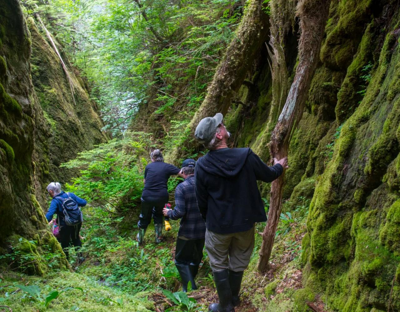 Birding Alaska, Bird Watching Alaska, Birding North America, Naturalist Journeys, Wildlife Tour, Wildlife Photography, Ecotourism, Specialty Birds, Endemic Birds, Birding Hotspot, Whale Watching
