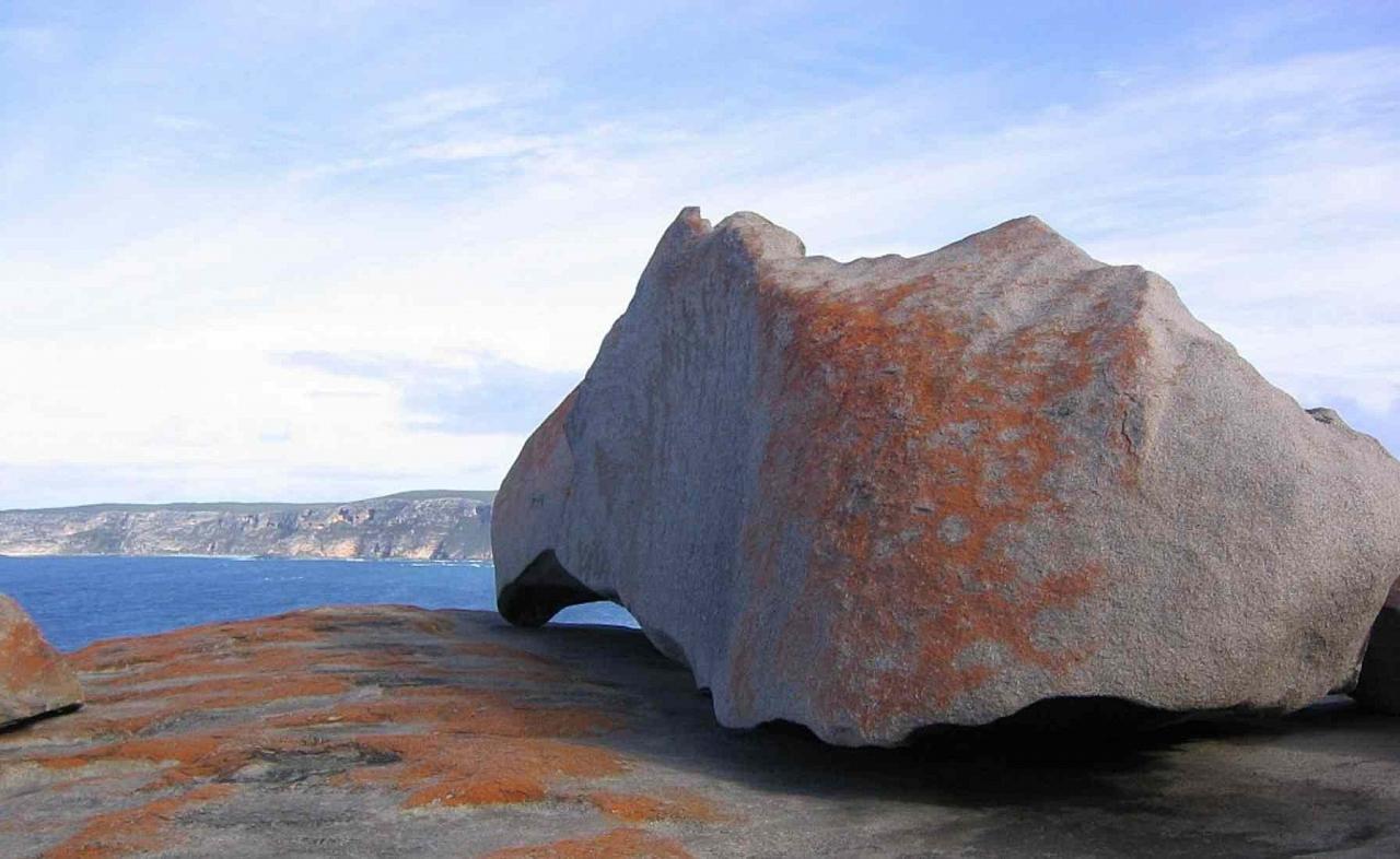 Kangaroo Island, Phil Whitehouse, Australia, Australia Nature Tour, Australia Birding Tour, Naturalist Journeys 