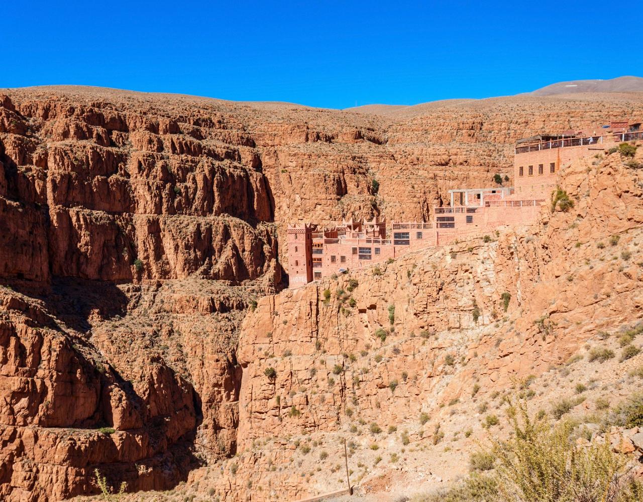 Morocco, Morocco Wildlife, Wildlife Tour, North-African Wildlife, Birdwatching, Photography Tour, Birds of the World, Marrakech, High Atlas Mountains, Desert Landscapes