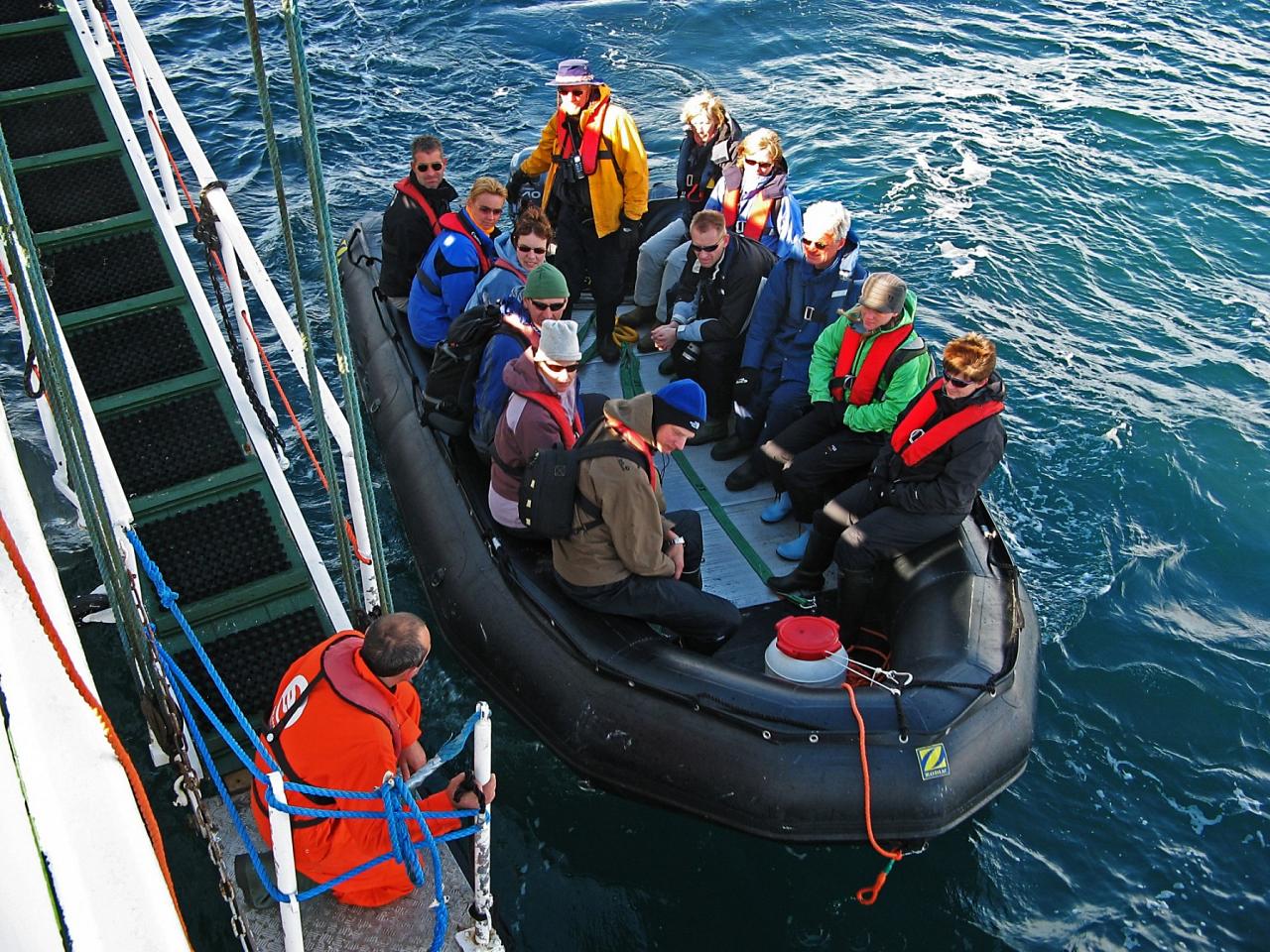 Svalbard, Spitsbergen, Svalbard Birding Cruise, Svalbard Nature Cruise, Naturalist Journeys