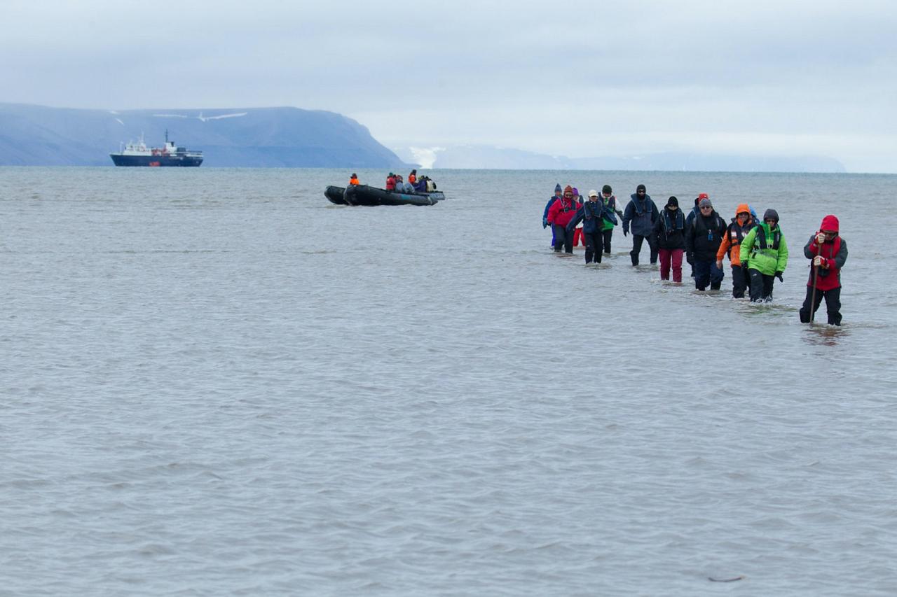 Svalbard, Spitsbergen, Svalbard Birding Cruise, Svalbard Nature Cruise, Naturalist Journeys