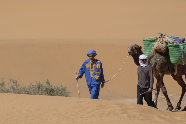 Moroccans, Morocco, Morocco Birding Tour, Morocco Nature Tour, Morocco Wildlife Tour, Naturalist Journeys