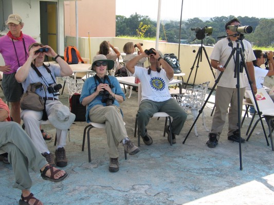 Mexico, Veracruz, River of Raptors, Raptor Migration, Migration Tour, Mexico Birding Tour, Veracruz Birding Tour, Naturalist Journeys